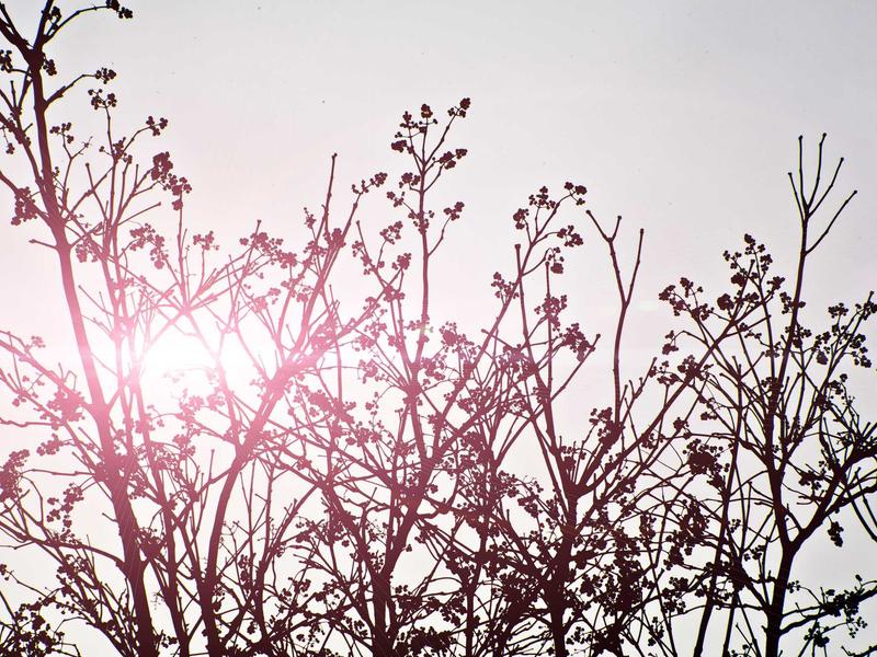 sudoku new features screenshot 6