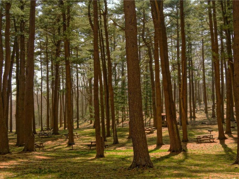 sudoku solution check